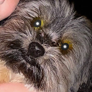 Meet your Posher, Jade